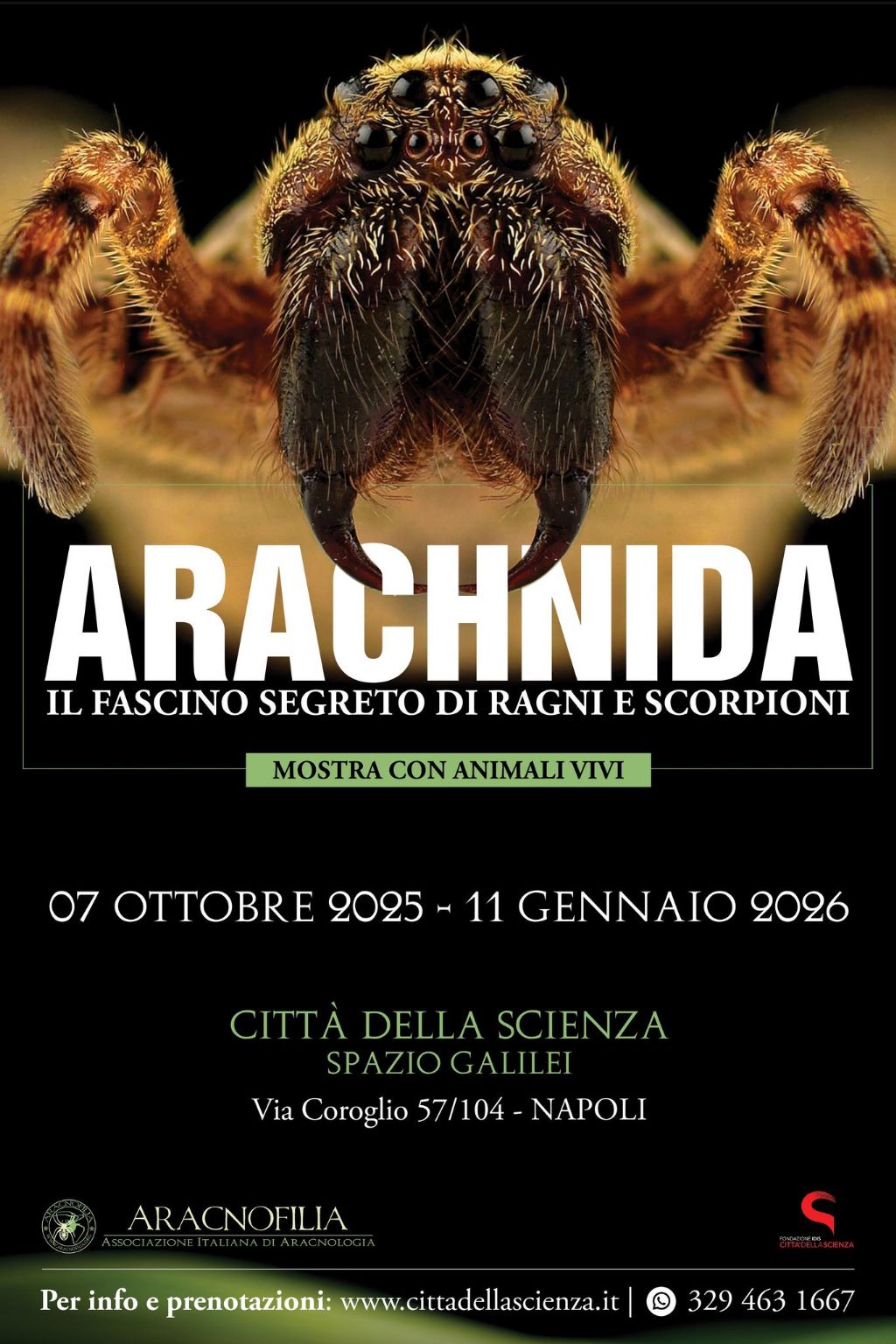 Mostra aracnologica a Napoli, Citt della Scienza